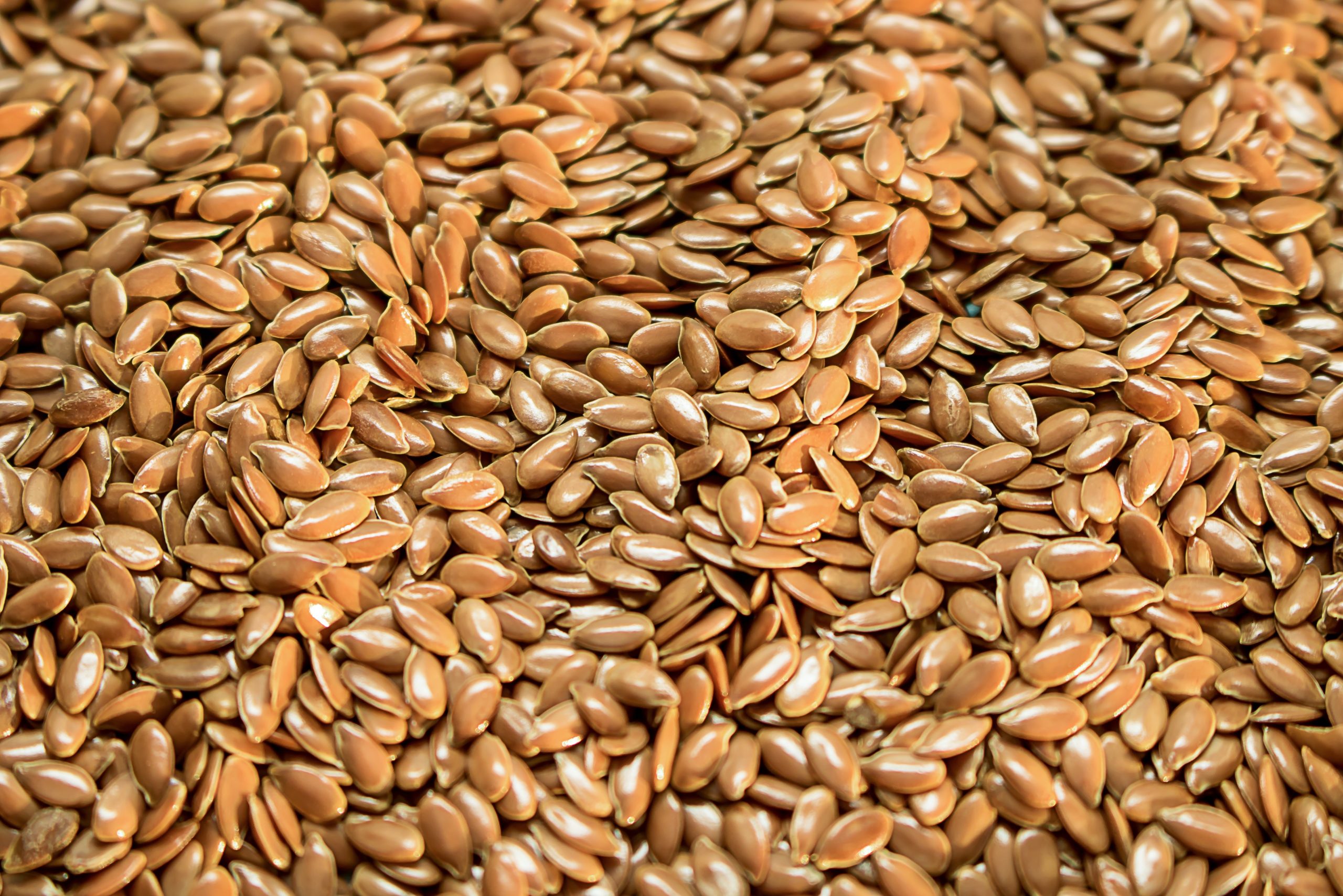 Flax Seed